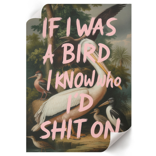 Poszter kép Ptáci s nápisem