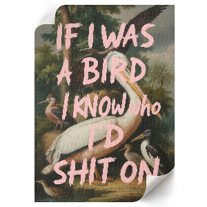 Poszter kép Ptáci s nápisem