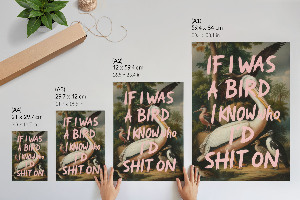 Poszter kép Ptáci s nápisem