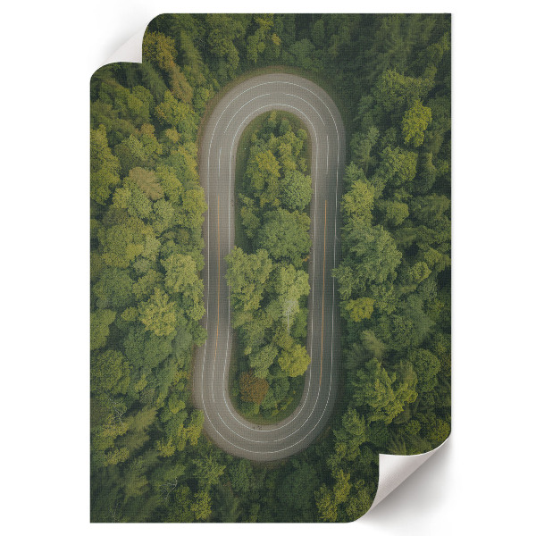 Poszter kép Lesní dobrodružství