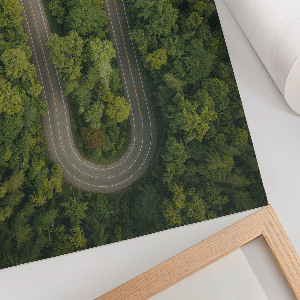 Poszter kép Lesní dobrodružství