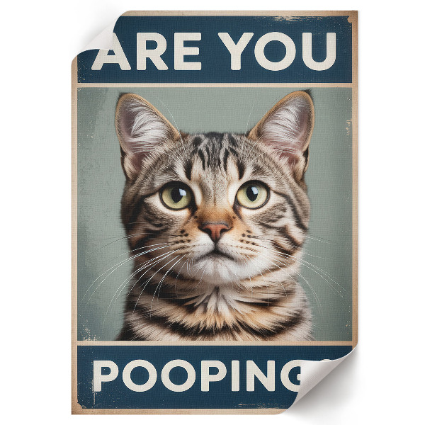 Retro poszter Kakáš?