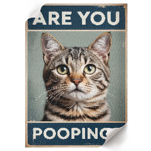 Retro poszter Kakáš?