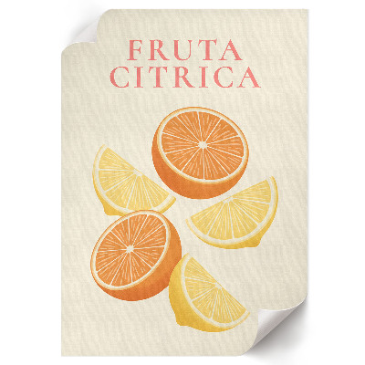 Retro poszter Citrusové plody
