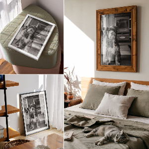 Retro poszter Retro pes