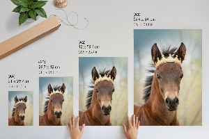 Poszter kép Kůň s korunou