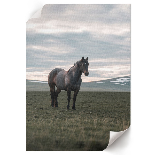 Retro plakát Ranní klid