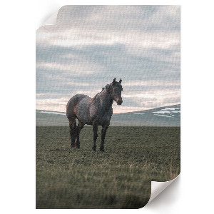 Retro plakát Ranní klid