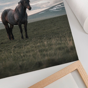 Retro plakát Ranní klid