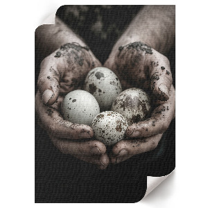 Vintage poszter Přírodní vejce