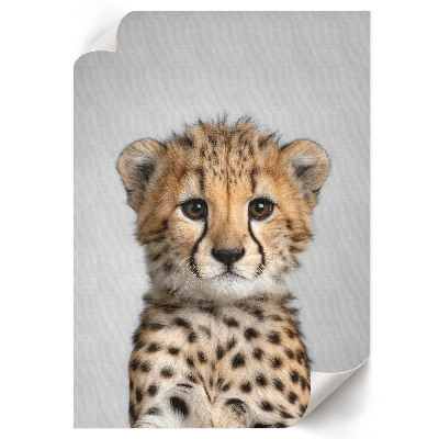Retro poszter Mladý gepard