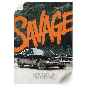 Vintage poszter a Divoké auto témájában