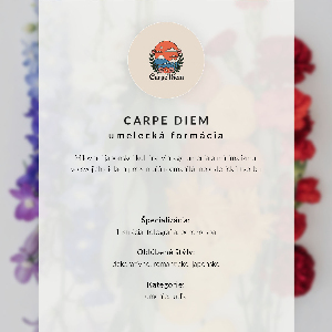 Retro plakát Japonská elegance