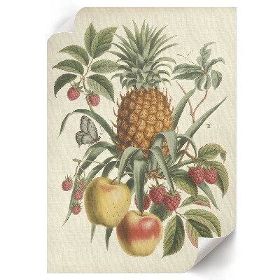Retro poszter Botanické ovoce