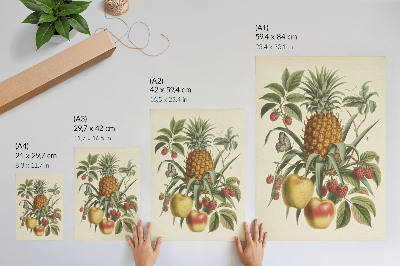 Retro poszter Botanické ovoce