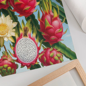 Retro poszter Exotika přírody