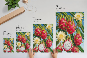 Retro poszter Exotika přírody