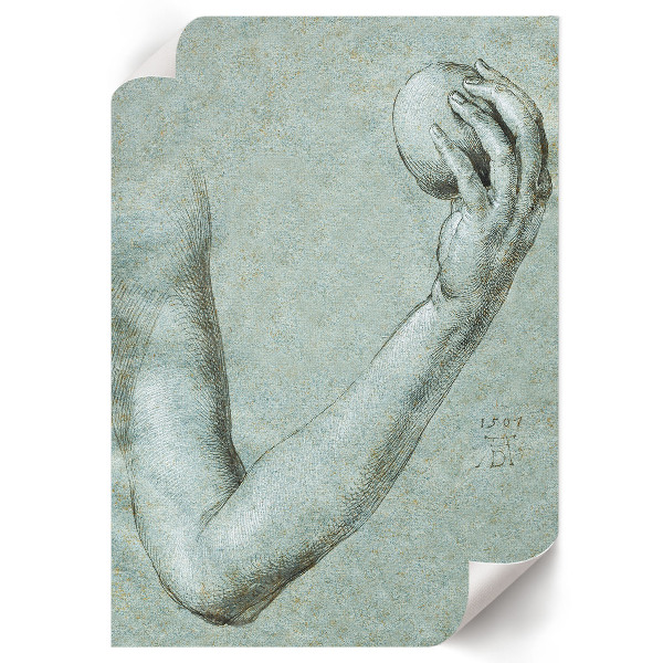 Poszter kép Evina paže