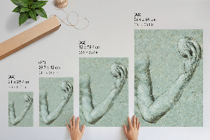 Poszter kép Evina paže