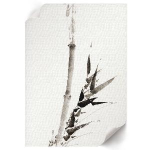 Vintage poszter Bambus