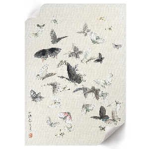 Vintage poszter Motýli a můry