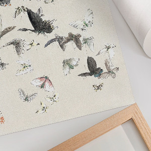 Vintage poszter Motýli a můry