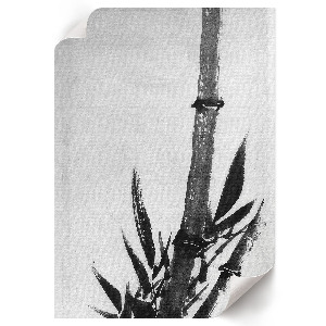 Retro poszter Bambus