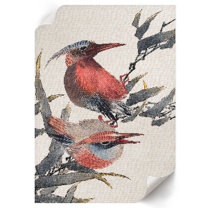 Vintage poszter Ptactvo