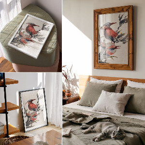 Vintage poszter Ptactvo