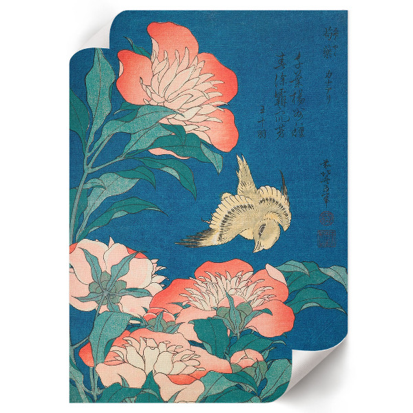 Retro poszter Pivoňky a kanárek