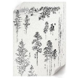 Retro poszter Borovice