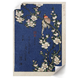 Poszter kép Červenka na větvi