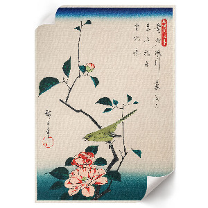 Poszter kép Kamélie a slavík