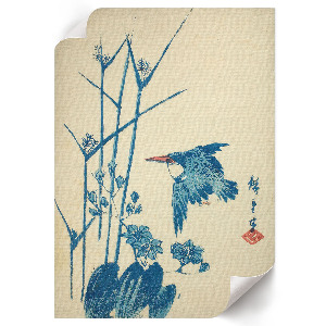 Poszter kép Ledňáček a rostlina