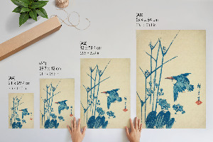 Poszter kép Ledňáček a rostlina