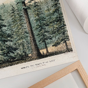 Retro plakát Wellingtonie