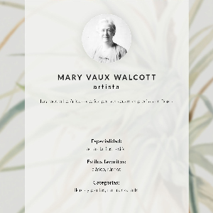 Vintage poszter Divoký ananas