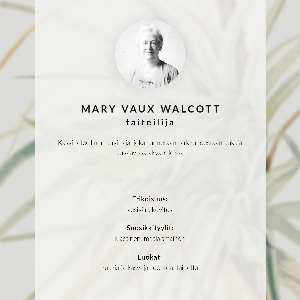 Vintage poszter Divoký ananas