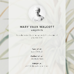 Vintage poszter Divoký ananas