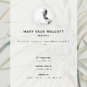 Vintage poszter Divoký ananas