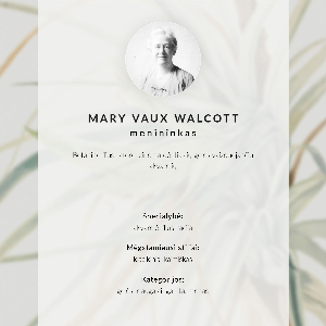 Vintage poszter Divoký ananas