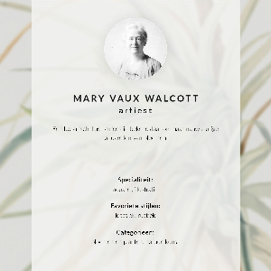 Vintage poszter Divoký ananas