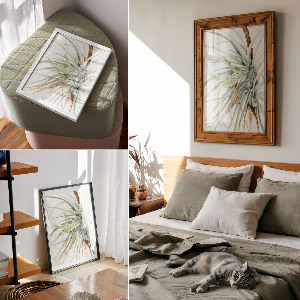 Vintage poszter Divoký ananas