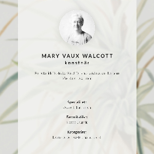 Vintage poszter Divoký ananas