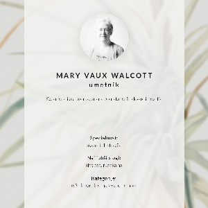 Vintage poszter Divoký ananas