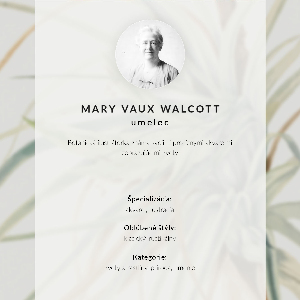 Vintage poszter Divoký ananas