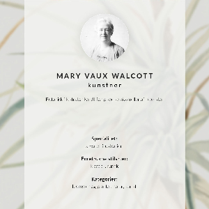 Vintage poszter Divoký ananas