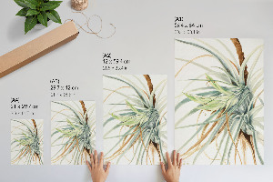 Vintage poszter Divoký ananas