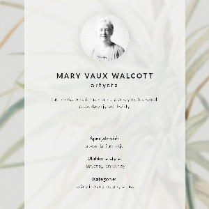 Vintage poszter Divoký ananas