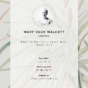 Vintage poszter Divoký ananas